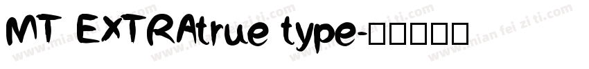 MT EXTRAtrue type字体转换